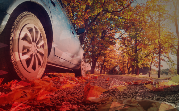 Prepara tu coche para otoño